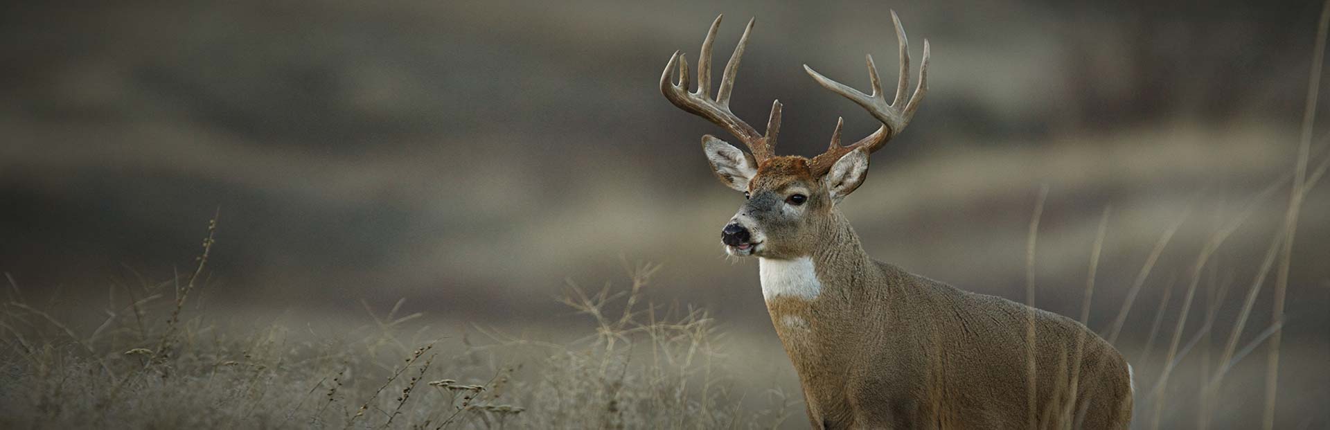 South Dakota Whitetail Deer Hunting Rosebud Tribal Land
