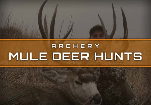 Prairie Highlands Lodge Archery Mule Deer Hunts