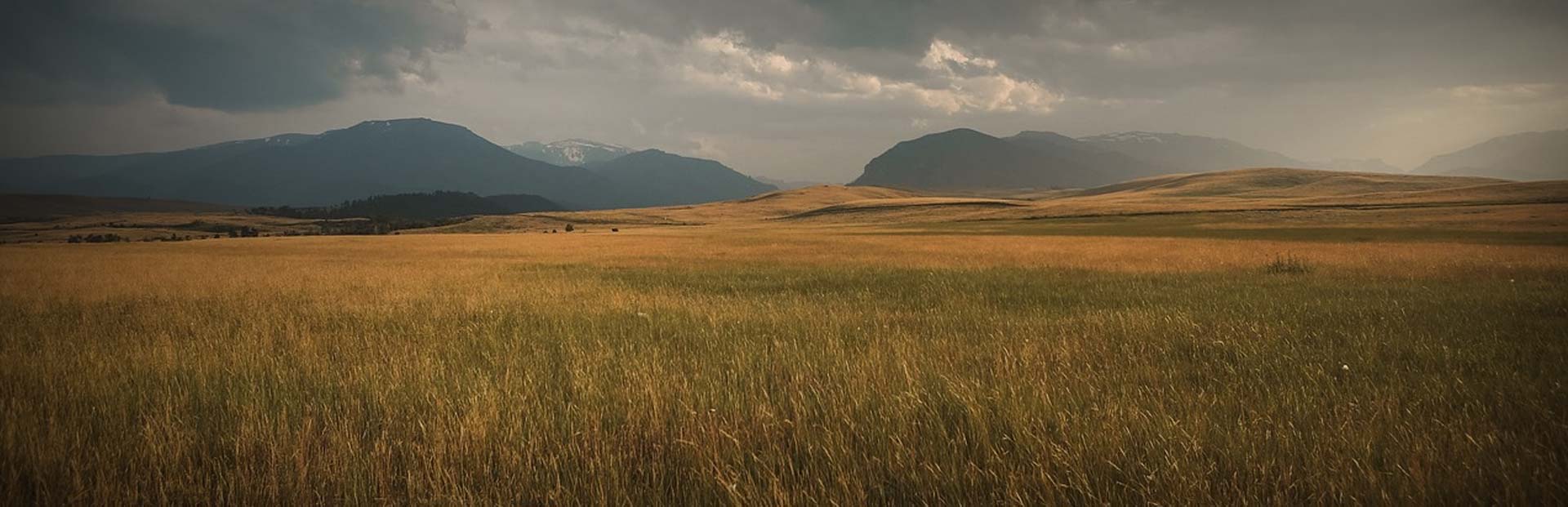 South Dakota Rosebud Sioux Reservation Tribal Land Hunts with Prairie Highlands Lodge