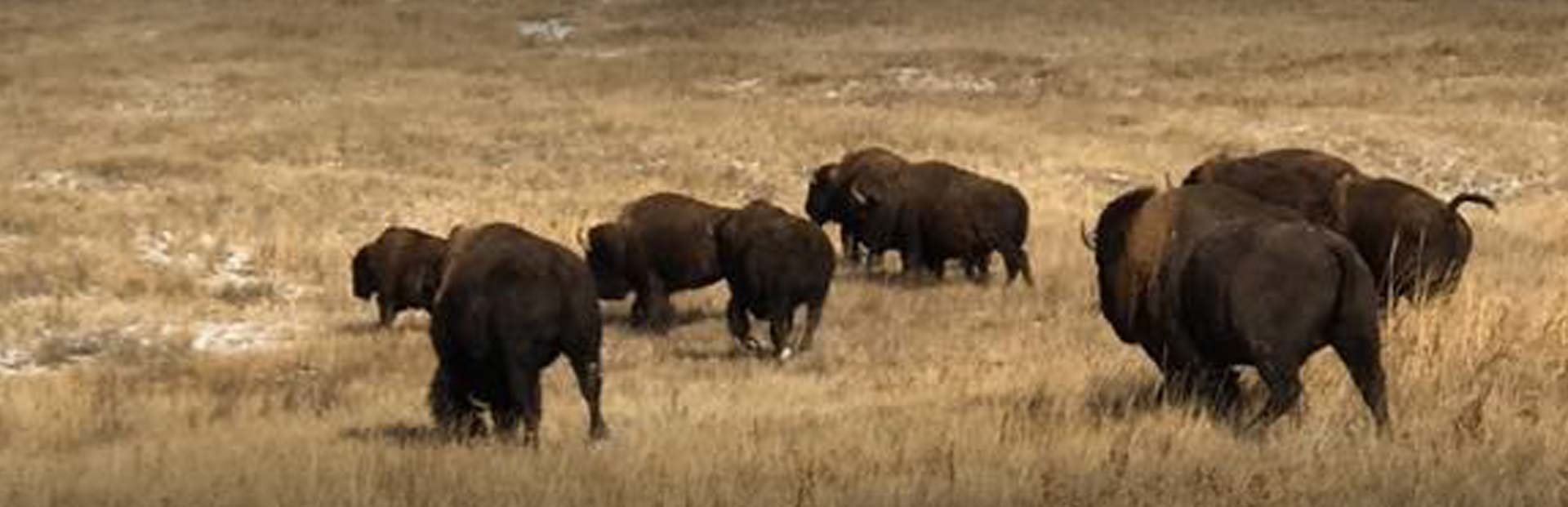 Our Hunts